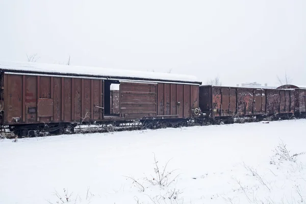 冬と雪のトラックと つのトラックの交差点を横切って倒れて — ストック写真