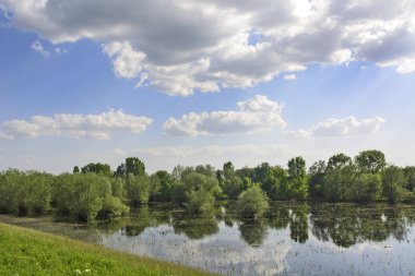 Nehir aktıktan sonra baharın başlarında çayırlarda su altında kalmışlar..