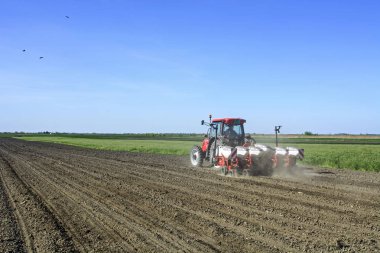 Curug, Sırbistan, 20, Nisan 2018. Bahar Ekim. Çiftçi bir traktör ile kendi alanında Mısır sows.