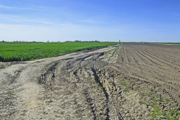 Rurale Vecchio Percorso Trattore Attraverso Campi Dove Passando Macchine Pesanti — Foto Stock