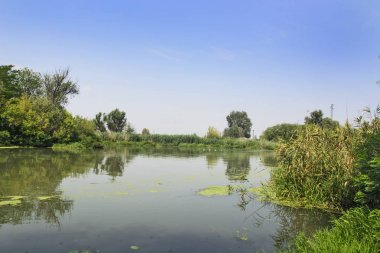 Büyük nehir anlaşmazlık sessizce ve tembel düz akar.