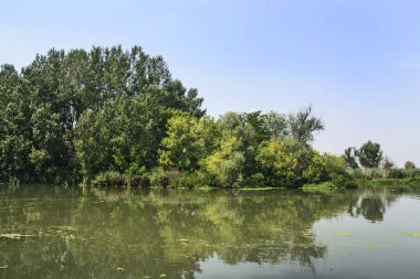 Büyük nehir anlaşmazlık sessizce ve tembel düz akar.