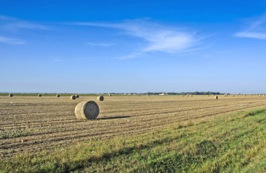 Soya alanından sonra hasat