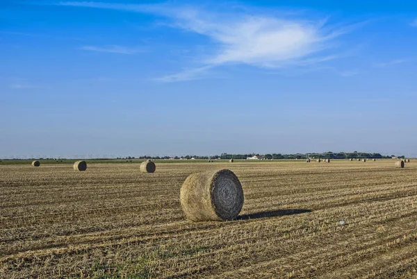 Soya alanından sonra hasat