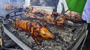 Izgara ve ateşte genç domuzyavrularının kavrulma