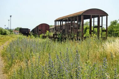 Çimenlerde eski harap demiryolu vagonları