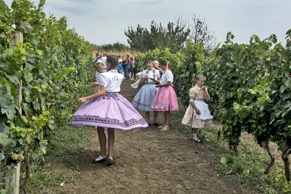 Святкування врожаю винограду — стокове фото