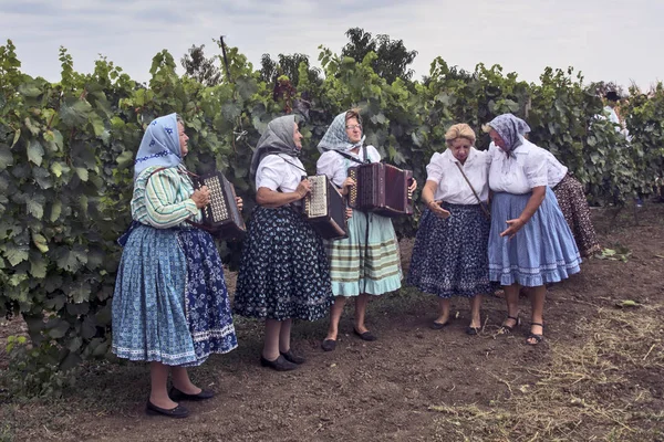 Празднование сбора винограда — стоковое фото