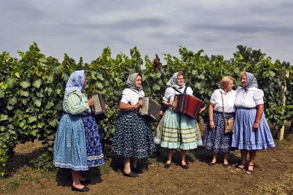 Oslava sklizně hroznů — Stock fotografie