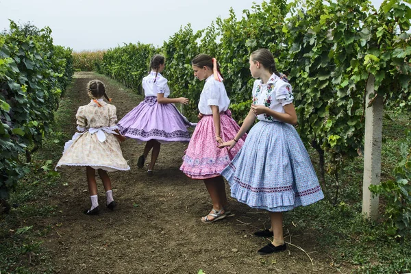 Oslava sklizně hroznů — Stock fotografie