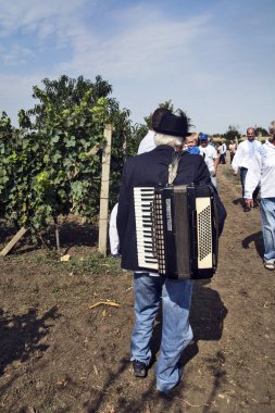 Üzüm hasadı kutlaması