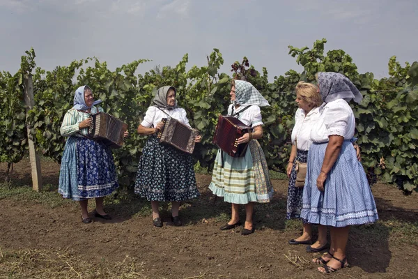 Празднование сбора винограда — стоковое фото