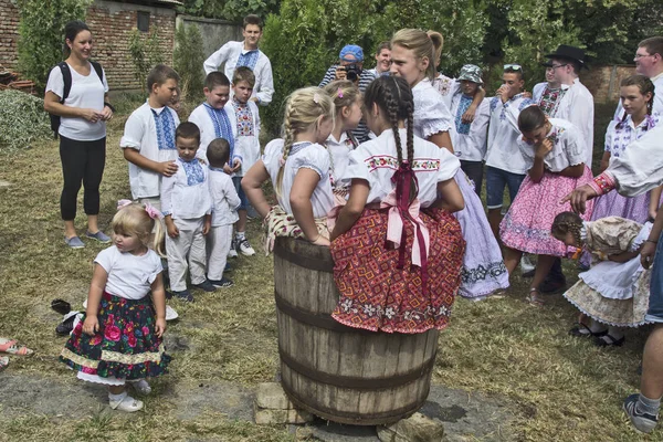 Celebración de la vendimia Oberacka Aradac — Foto de Stock