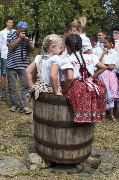 Celebração da vindima Oberacka Aradac — Fotografia de Stock