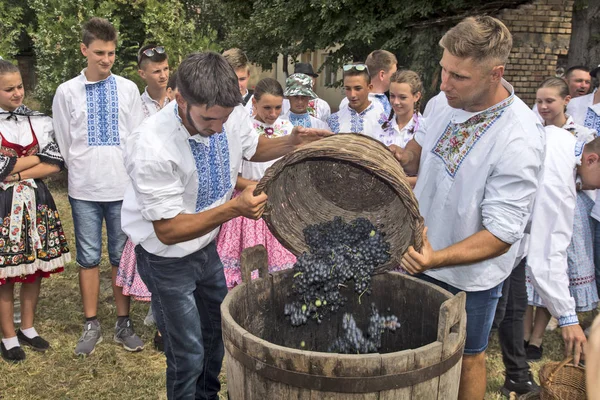 Svátek sklizně hroznů Oberacka Aradac — Stock fotografie