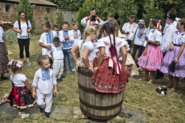 Празднование сбора винограда — стоковое фото