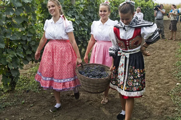 Oslava sklizně hroznů — Stock fotografie