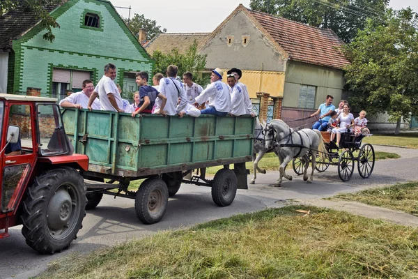 Відсутні учасники урожаю винограду — стокове фото