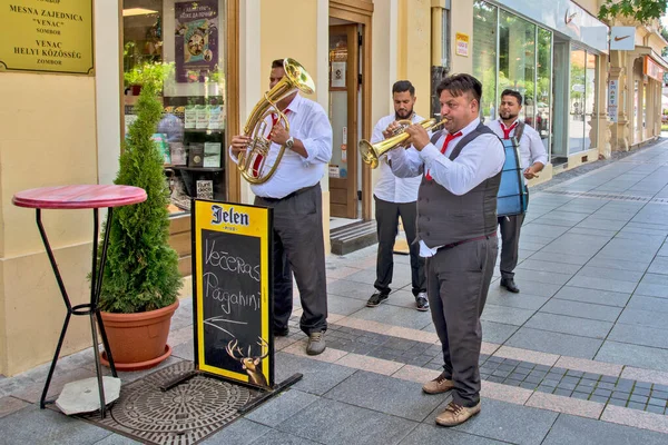 Sombor Sırbistan Haziran 2020 Bir Grup Sokak Müzisyeni Her Gün — Stok fotoğraf