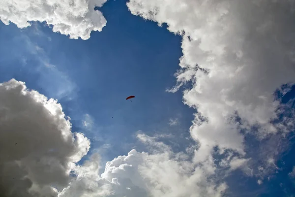 Ensam Paraglider Idrottsman Flyger Högt Molnen Med Fåglar — Stockfoto