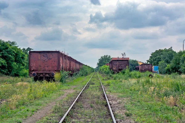 Zrenjanin Sırbistan Temmuz 2020 Demiryolu Bakımsız Harap Eskimiş Otlarla Kaplanmış — Stok fotoğraf