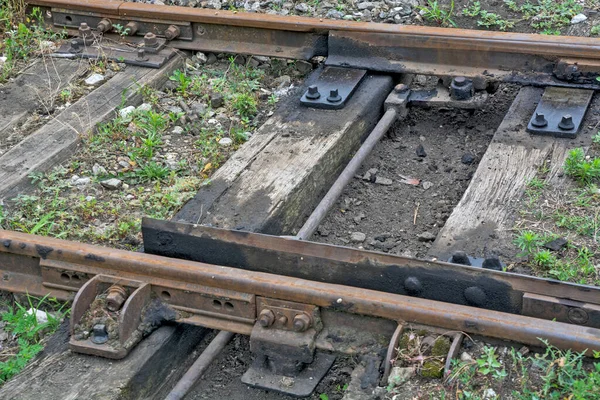 Zrenjanin Sırbistan Temmuz 2020 Demiryolu Bakımsız Harap Eskimiş Otlarla Kaplanmış — Stok fotoğraf