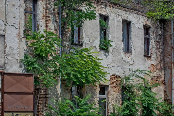 Zrenjanin Serbia July 2020 一座老房子的屋顶塌了 等待修理或拆除的建筑物 — 图库照片
