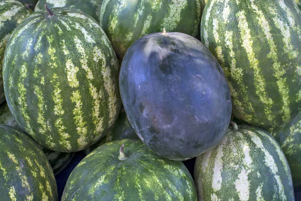 Sale of beautiful and sweet watermelons from the farm. The sale takes place in a certain place on the open market.