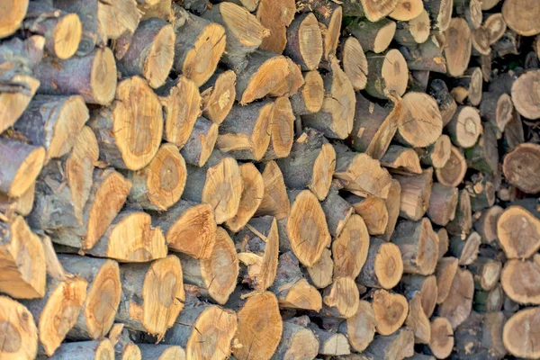 Large Pile Firewood Slats Open Air Waiting Sale — Stock Photo, Image
