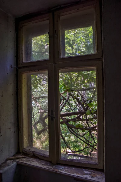 Una Vieja Casa Abandonada Una Ventana Rota Afuera Los Arbustos —  Fotos de Stock