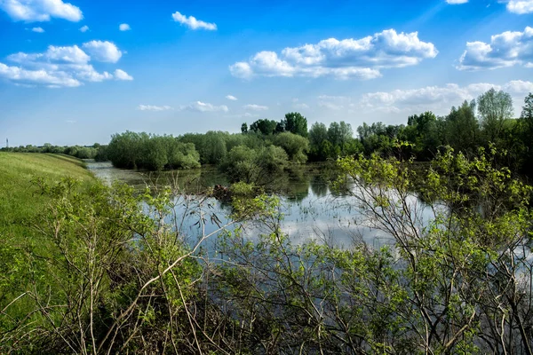 Aspetto Prati Sommersi All Inizio Della Primavera Dopo Aver Versato — Foto Stock