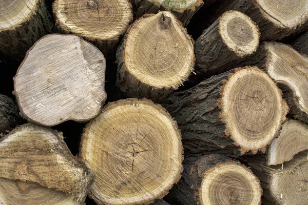 Kış geldiğinde kullanmak üzere evde yakacak odun depolanır..