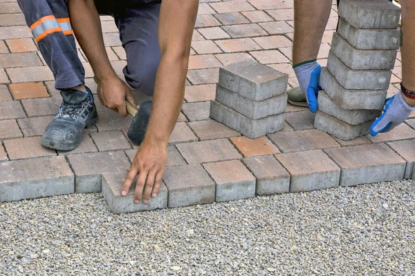 Master lay and install floor bricks on a public surface. The base is small stone and they fit concrete decorative pieces of brick.