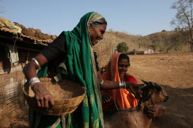 Nandurbar, Maharashtra, Hindistan, Asya 'da geleneksel kostümlü kabile kadını. 10 / 3 / 2020 'ye tıklayın