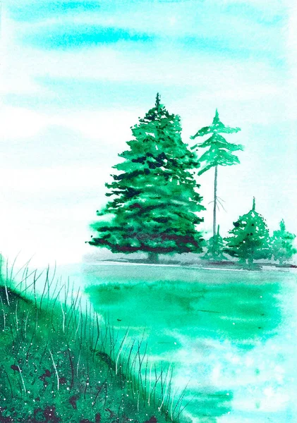 Green Tree Pond Its Reflection — Stock Photo, Image