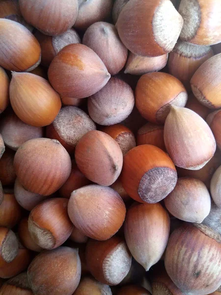 Close Macro Photo Hazelnuts Nuts Composition Background Organic Natural Food — Stock Photo, Image