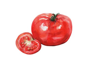 Suluboya domates çizimi. Kırmızı, olgun ve sulu sebze. Büyük kırmızı sebze, yarı yarıya beyaz. Menü tasarımı, poster, baskı için uygun gerçekçi el çizimi çizimi