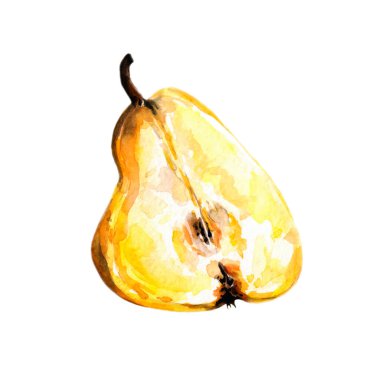 Elle çizilmiş armut resmi. Sağlıklı pazar, restoran ya da kafe menüsü ve hasat festivali için besin, organik doğal, tatlı meyve. Parlak, olgun ve sarı dilimler