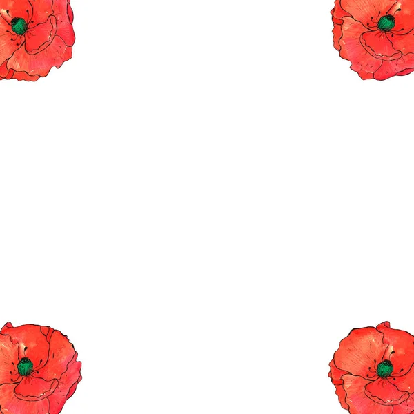 Poppy Frame Geïsoleerd Wit Grote Rode Bloemen Hoeken Voor Tekst — Stockfoto
