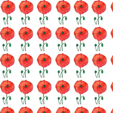 Elle çizilmiş büyük kırmızı gelincik deseni. Zarif gelinciklerin sonsuz doğa arkaplanı. Dekorasyon, tekstil, masa örtüsü, düğün dokusu, kartlar için beyaza izole edilmiş renkli çiçek mozaiği.