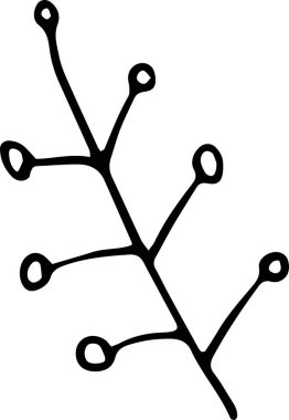 Tahıllı, tek ve şirin bir bitki. Tebrik kartları, düğün, mevsimsel tasarım, baskılar, çıkartmalar veya doğal kozmetik paketleme için el çizimi vektör çizimi. Basit karalama simgesi beyaz üzerine izole edilmiş.  