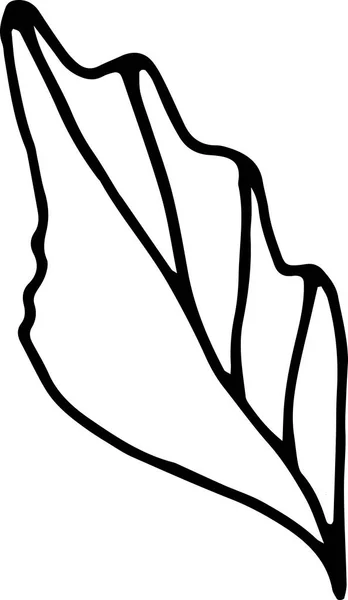 Милий Простий Окремий Елемент Листя Квітковому Каракулі Рука Намальована Векторна — стоковий вектор
