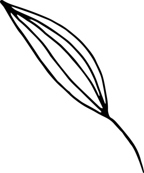 Простий Милий Єдиний Елемент Листя Квітковому Каракулі Рука Намальована Векторна — стоковий вектор