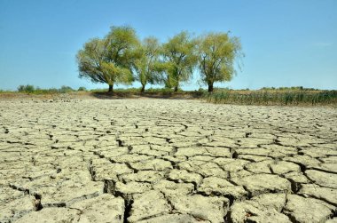 Toprak kuraklıkla çatladı.