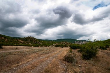 Bulutlu gökyüzüne karşı güzel orman vadisi