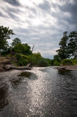 Vahşi doğada tatlı su kaynağı