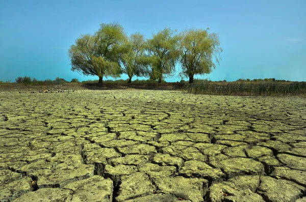Terreno Agrietado Por Sequía Imagen De Stock