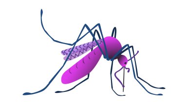 Karikatür sivrisineğin izole edilmiş görüntüsü. Yan görünüm