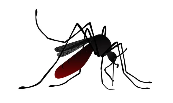 Imagem isolada do mosquito dos desenhos animados. Vista lateral —  Vetores de Stock