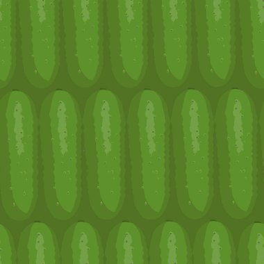 Salatalığın kusursuz bir şekli var. Çizim biçimi